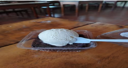 Proyecto: Elaboración de Helados Tradicionales