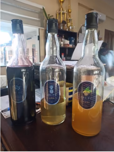 Proyecto: Elaboración de Licores a Partir de Jamaica, Piña y Cusi
