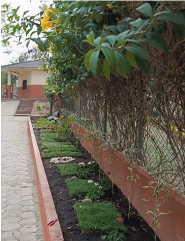 Proyecto: Mejorar y Acondicionar el Jardín
